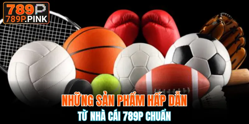 Đa dạng phương tiện giải trí từ bóng đá đến đua xe