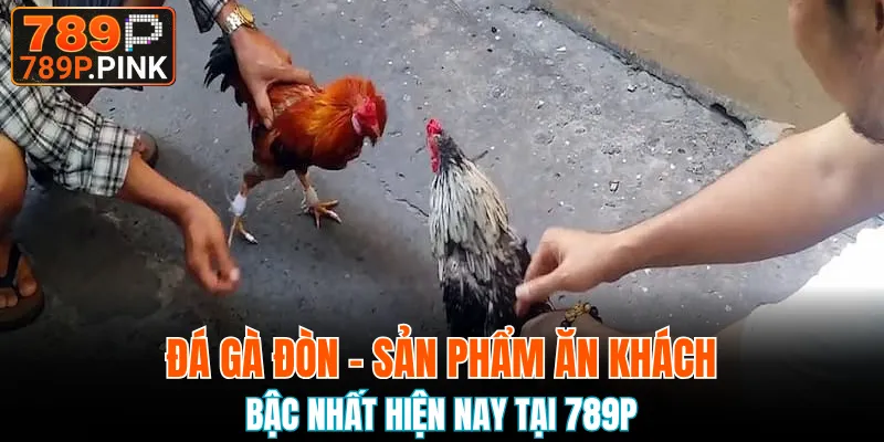 Đá Gà Đòn - Sản Phẩm Ăn Khách Bậc Nhất Tại Nhà Cái 789P 1 Đá gà đòn