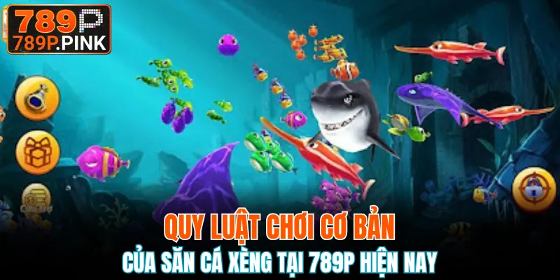 Bắn Cá H5 - Săn Cá Đại Dương Cực Dễ, Trúng Xu Về Túi 6 Khám phá quy luật chơi săn cá xèng nổi bật hiện nay