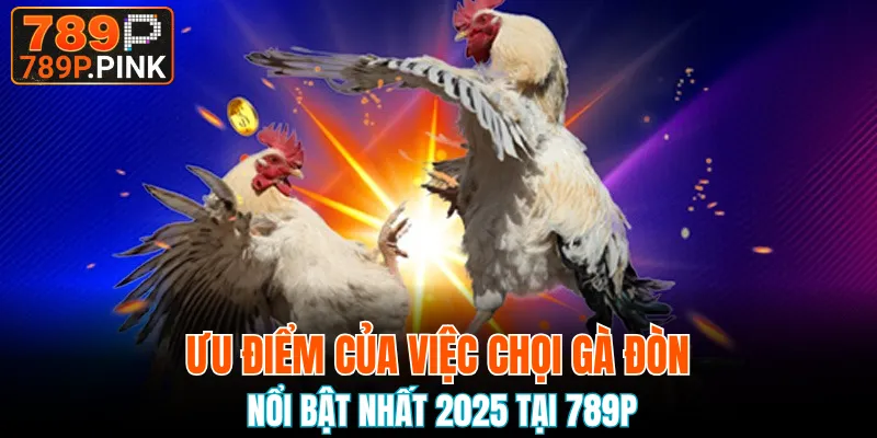 Đá Gà Thomo - Nghệ Thuật Chọi Gà Đỉnh Cao 2025 6 Ưu thế vượt trội của đá kê đòn tại nhà cái