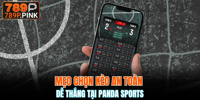 Panda Sports - Tận Hưởng Thể Thao Và Ăn Kèo Hấp Dẫn 6 Mẹo chọn kèo an toàn dễ thắng tại Panda Sports