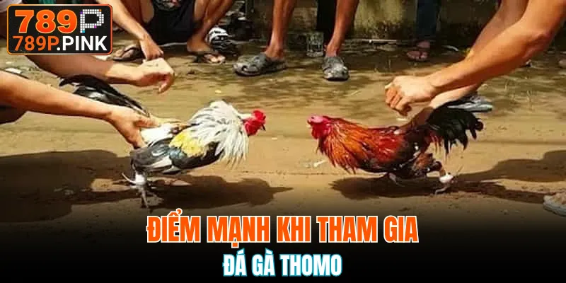 Đá Gà Đòn - Sản Phẩm Ăn Khách Bậc Nhất Tại Nhà Cái 789P 7 Ưu điểm khi tham gia đá gà Thomo hiện nay